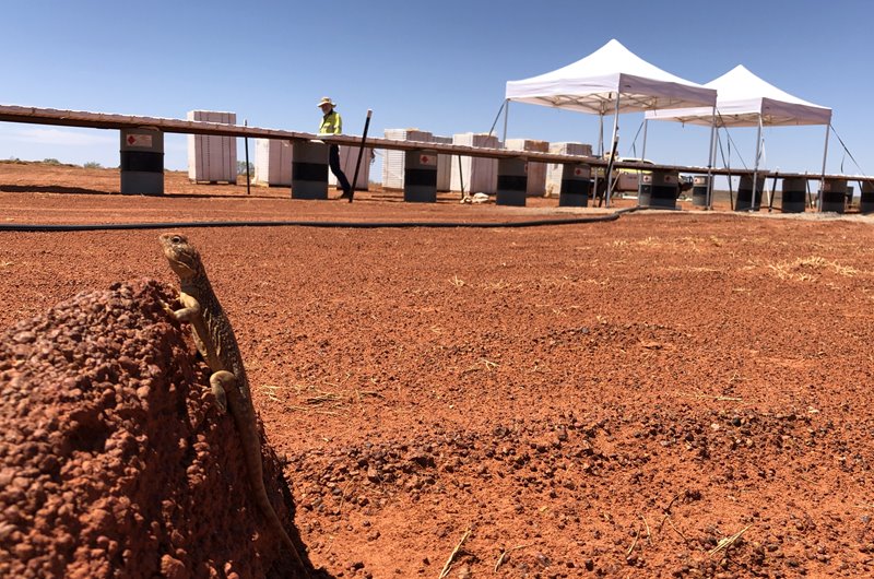 Antipa Minerals delivers a strong Minyari Dome scoping study