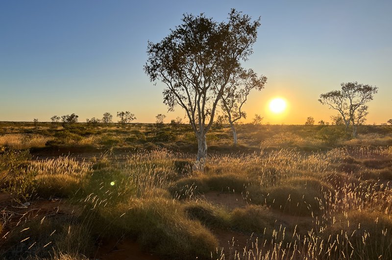 The Australian Business Review - Antipa adds $17m to the kitty as Rio splashes cash on Citadel gold project